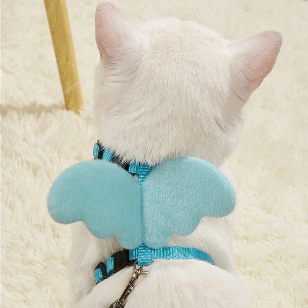 Wing Pet Harness & Leach 🐈